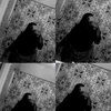 kamyadobbins8